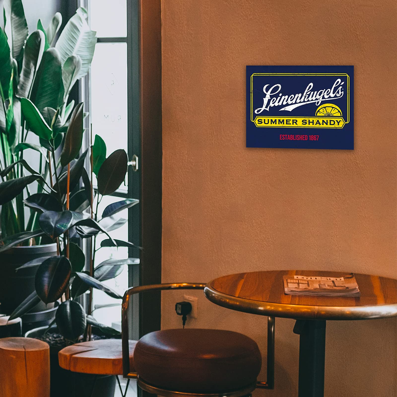 Amazon.com: Desperate Enterprises Leinenkugel's Summer Shandy Tin