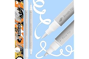 ARTISTRO Acrylic Paint Pens, Your Versatile Painting Companion