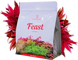 お米を育てる土で作った水草水槽用栄養系ソイル APT Feast 2L THE 2HR AQUARIST アクアリウム 水槽立ち上げ 肥料 熱帯魚