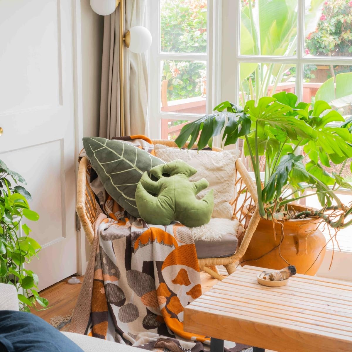 Green Philosophy Co. Plush Succulent Leaf Pillow 3D Accent Anthurium Warocqueanum Plant Throw Pillows for Couch Sofa Living Room Home Decor for Plant & Garden Lovers, Green Thumb Family & Friends: Monstera Deliciosa - Mossy Earth