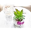Product Photo 4