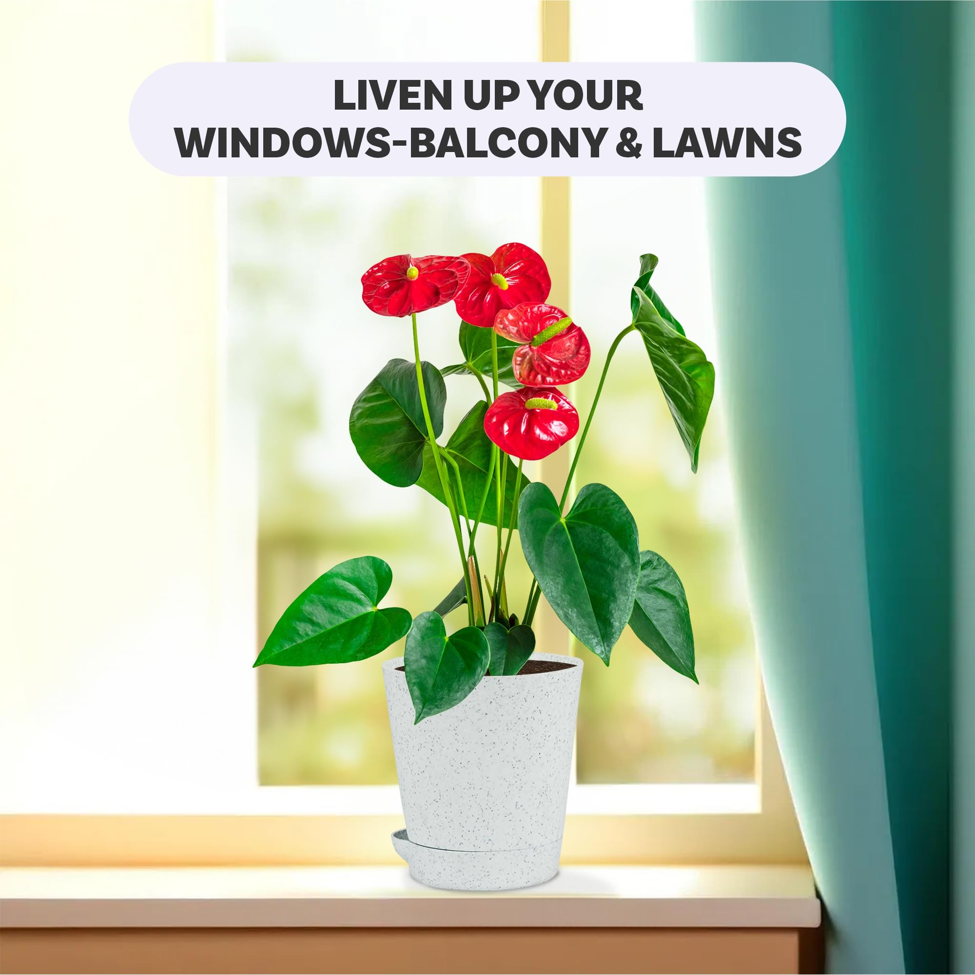 Kuber Industries Flower Pots - 12 Pack -4