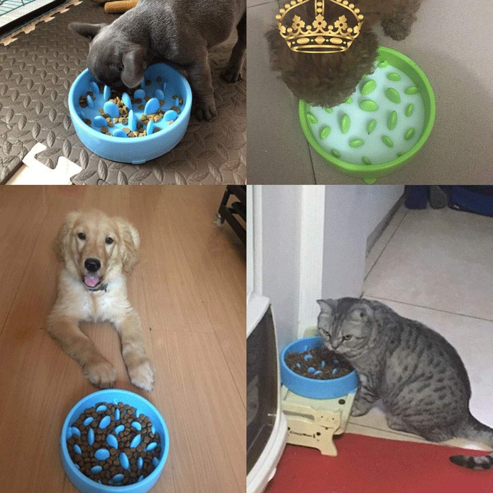 HB PET Ciotole per Cani Gatto,Plastica Cani Gatti Ciotola Lento Antiscivolo Animali Vassoio Evitare di Animale da Mangiare Troppo e Rimpinzarsi, Anti Ingozzamento Anti-soffocare, Slow Food Dog Bowl