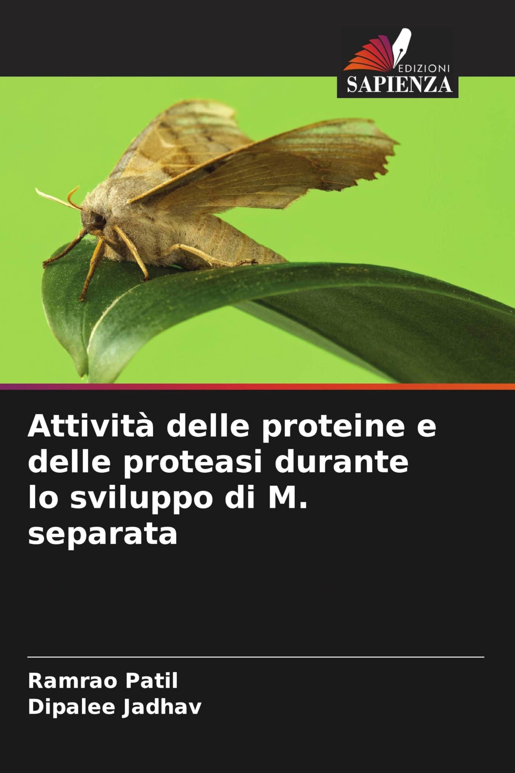 Attività delle proteine e delle proteasi durante lo sviluppo di M. separata