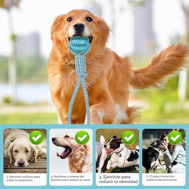 Foto 5 de 7 de Volumoon Juguete de Cuerda Para Perros, Pelota con Cuerda para Perros de 6cm, Juguetes para Perros para Morder