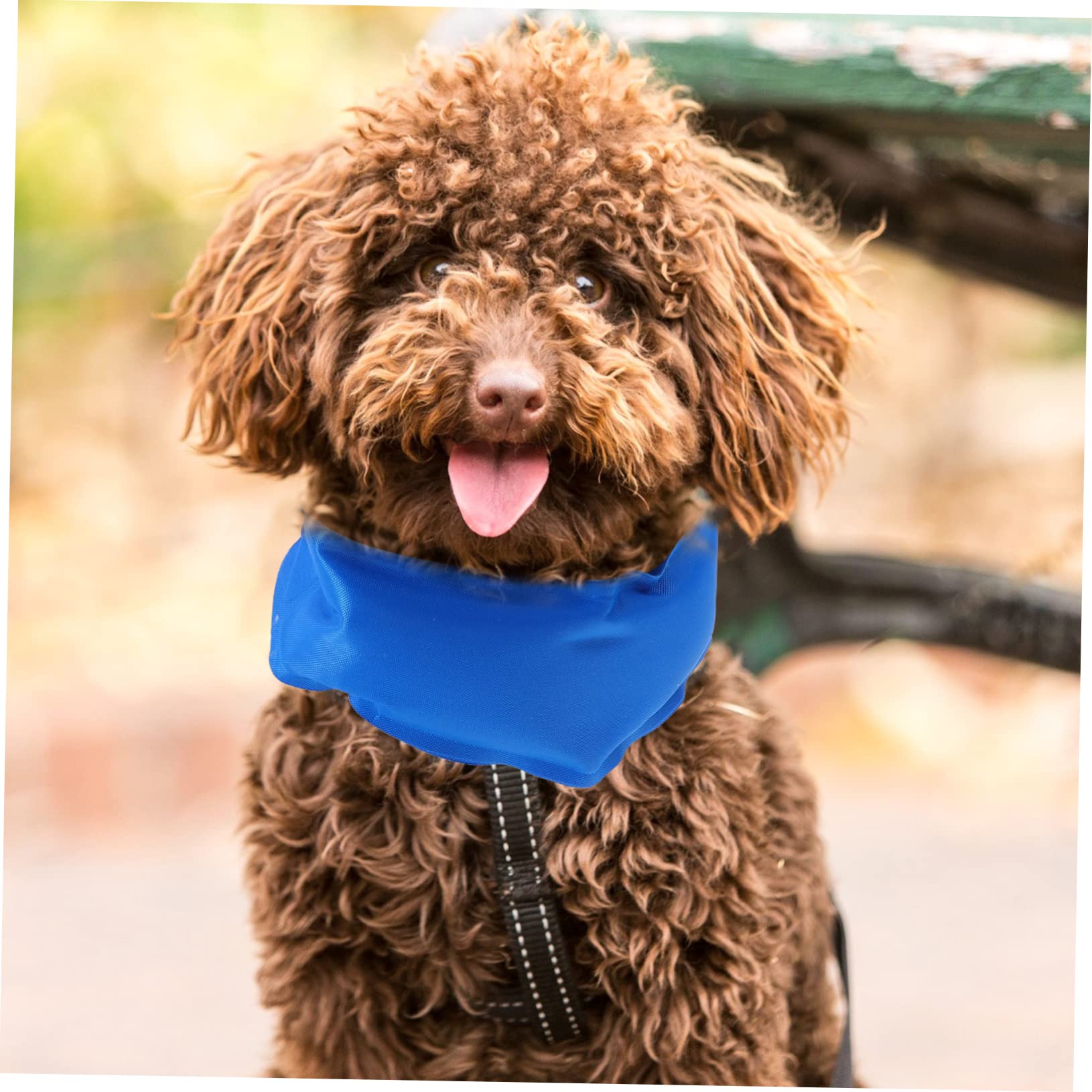 Mipcase 6stücke Kühlende Hundebandanas Für Sommer Atmungsaktive Ice Scarfs Für Hunde Für Heiße Um Hitzestress Zu Reduzieren Körpertemperatur Zu