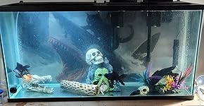 Review Image by Jake Jacobsen