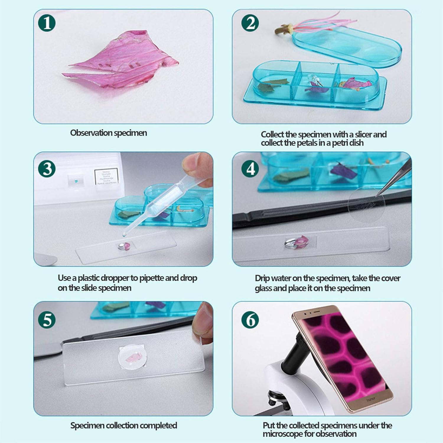 Microscope 40X-800X Monocular Microscopes with Handle Microscope for School Lab Kids and Students with Eyepiece(WF10X WF20X) 22x16x15cm White