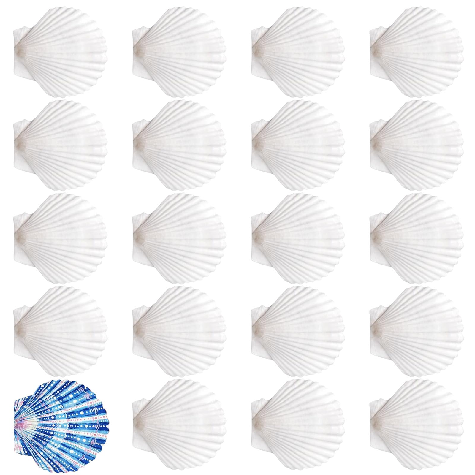 Mllepjdh 20Pcs Unfinished Natural White Seashells Paintable Natural White Shells for School Art Craft Project Cake Baking Decoration Cockle Casings for Baking