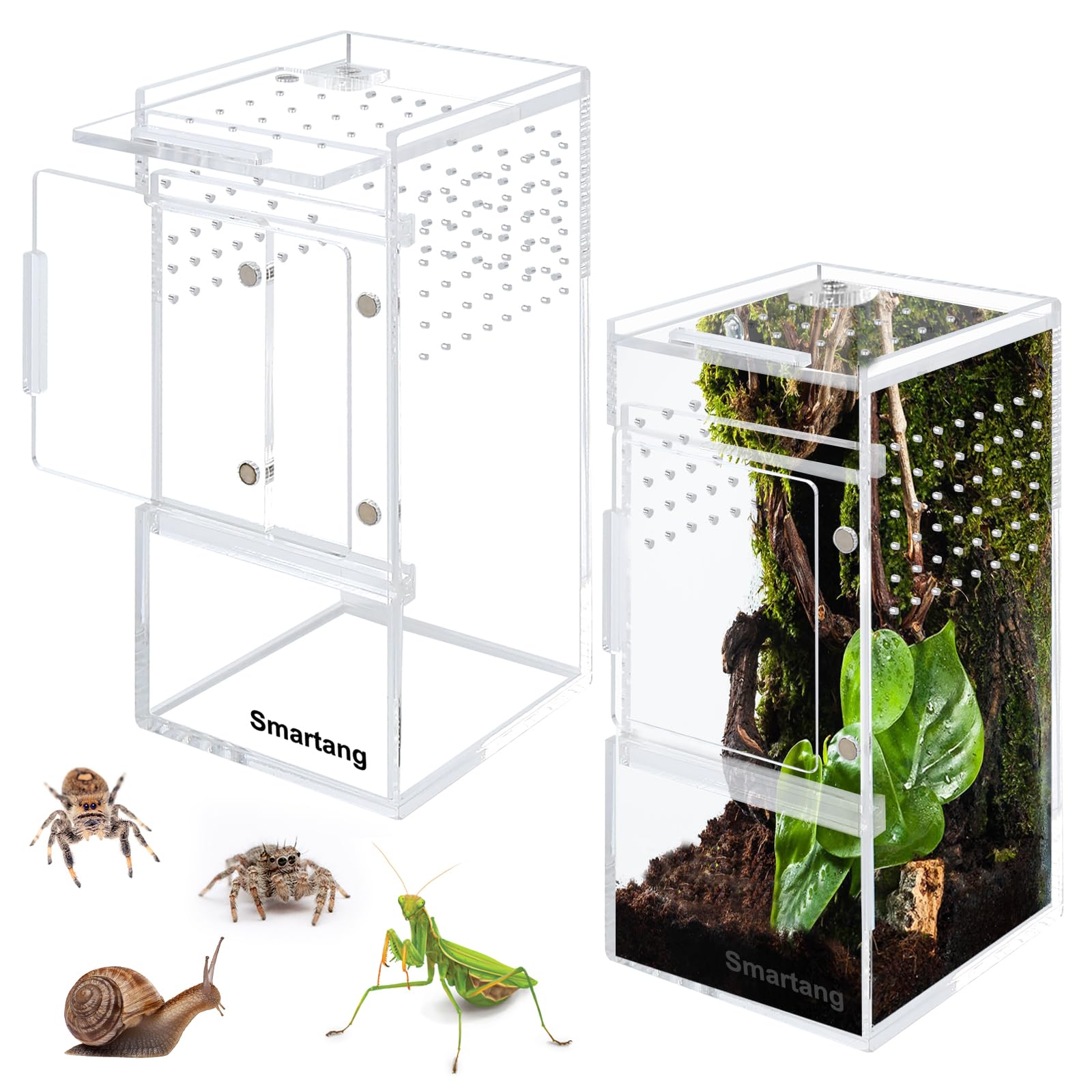 Jumping Spider Enclosure,Arboreal Tarantula Enclosure,Spider Habitat,Praying Mantis Habitat,Frog Enclosure,Insect Terrarium Bug Enclosure,Acrylic Terrarium（3 * 3 * 6inch） 3*3*6in