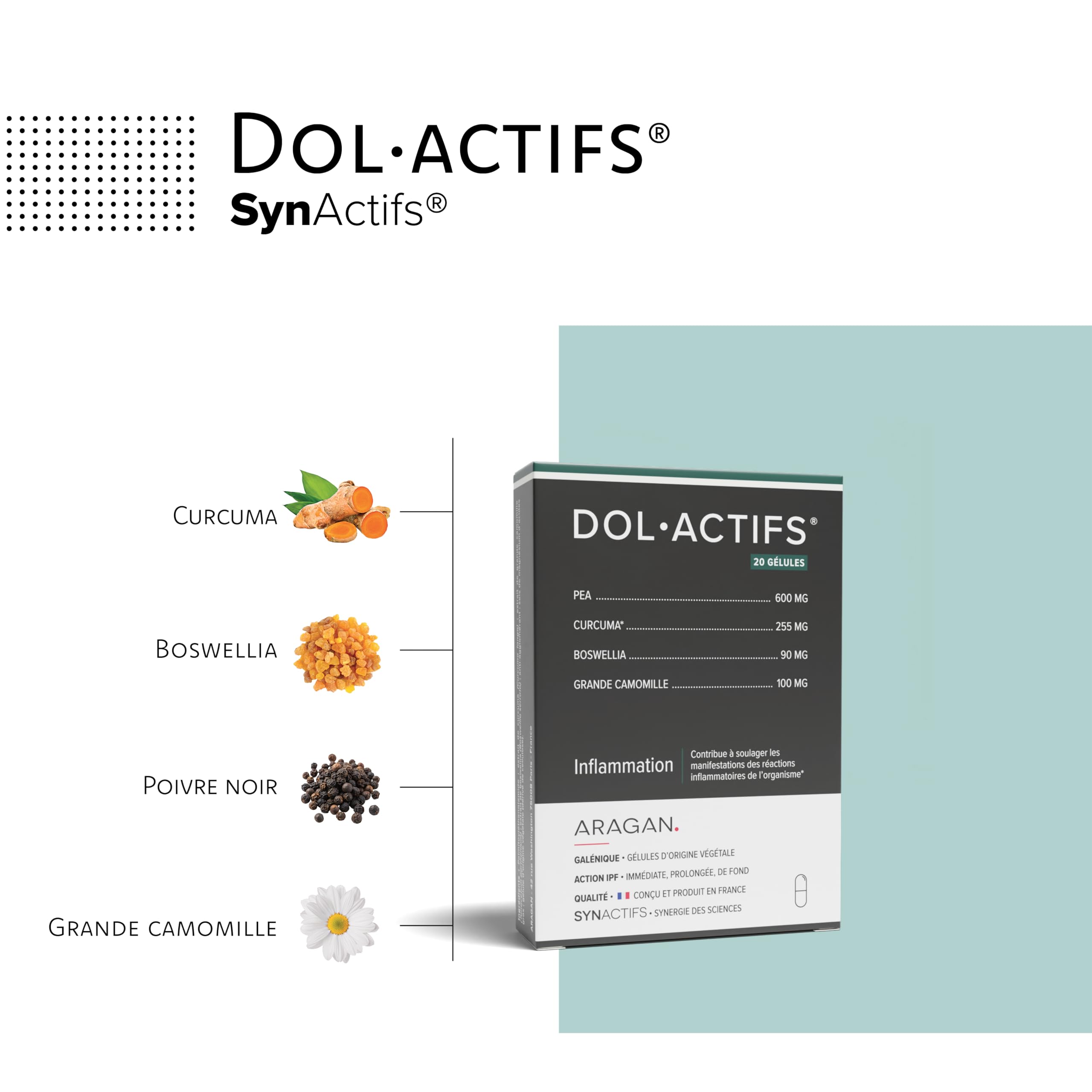 Dolactifs - Complément Alimentaire Anti Inflammatoire - Curcuma, PEA, Boswellia, Camomille - Aragan - 20 Gélules (Lot de 4)