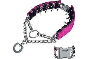 Adjustable Dog Collar with Enhanced Comfort for Large Canines