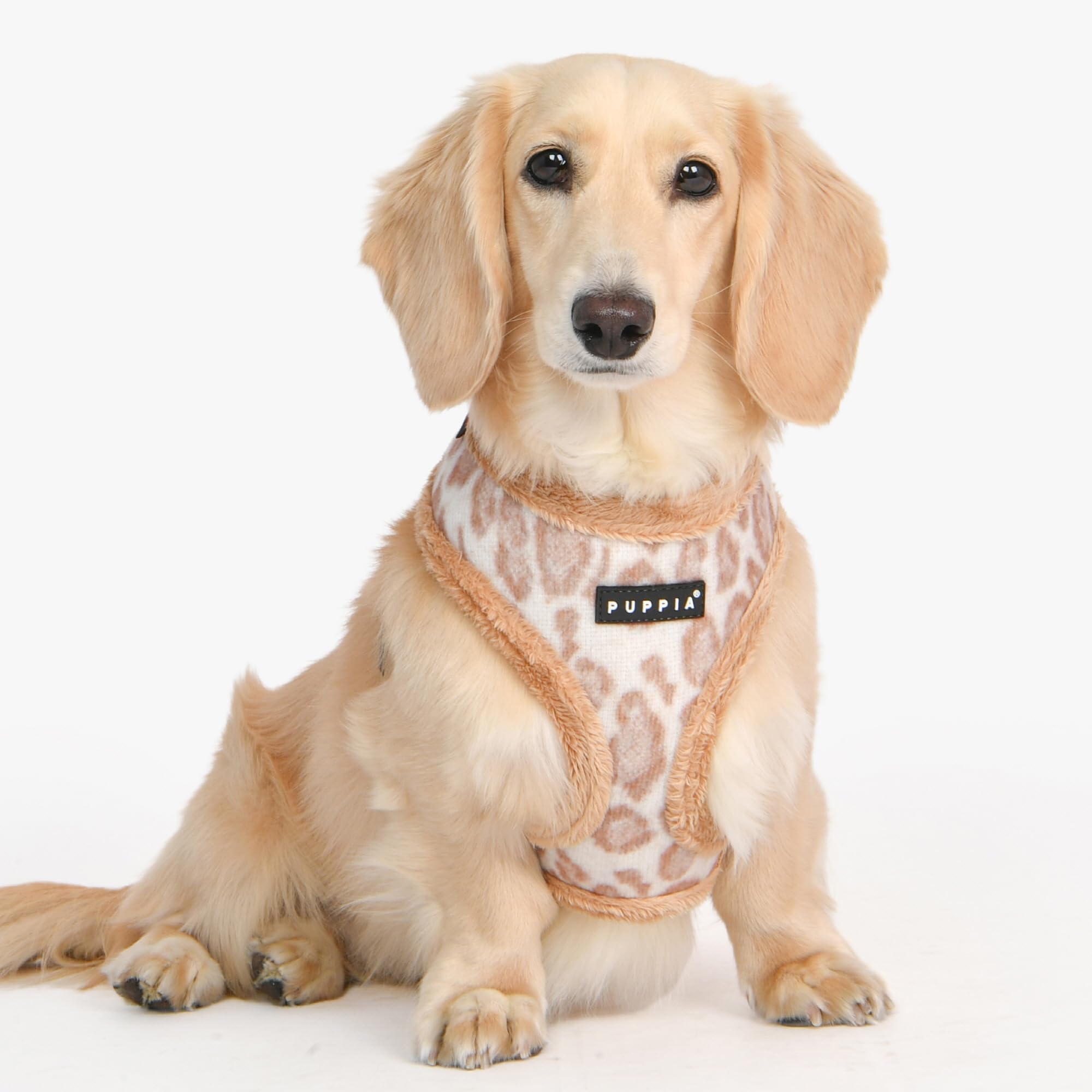 View 3