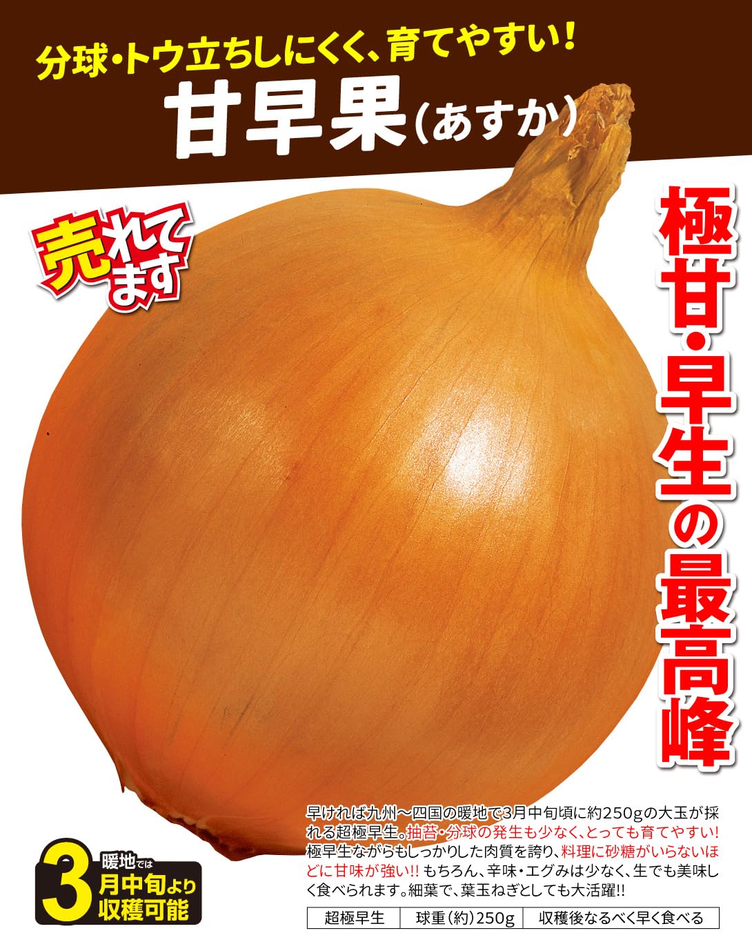 Amazon.co.jp: 玉ねぎ苗（超極早生）甘早果 あすか 300本 / 国華園 25