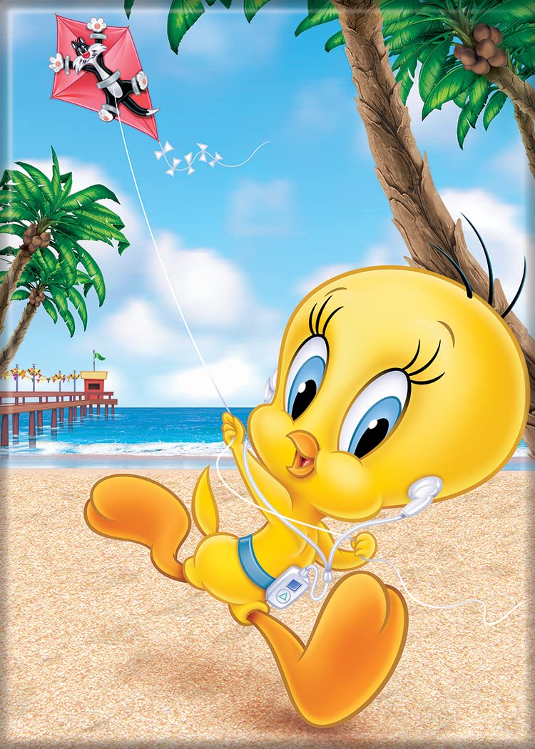 Amazon.com: Ata-Boy Looney Tunes Tweety Bird 2.5