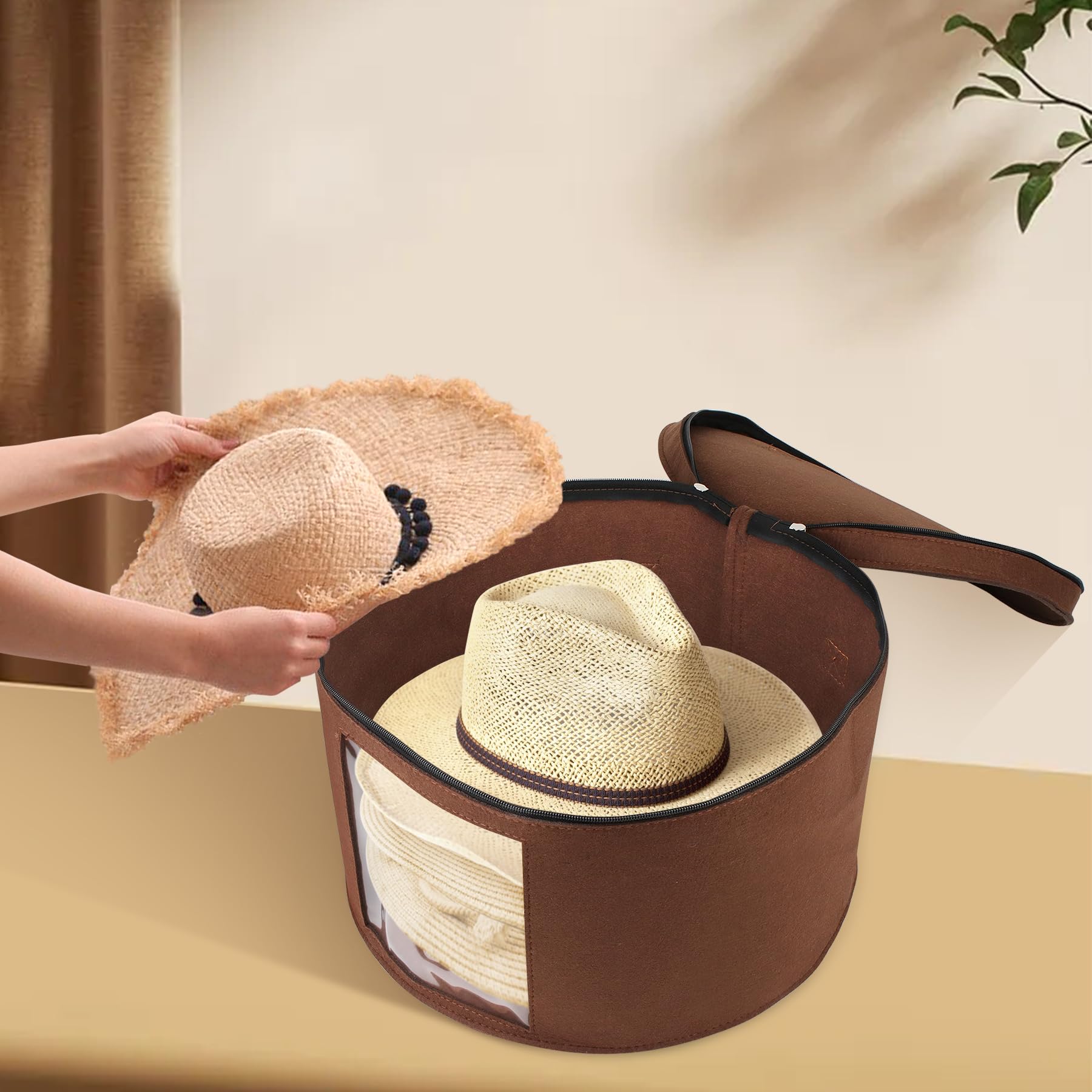 View 5