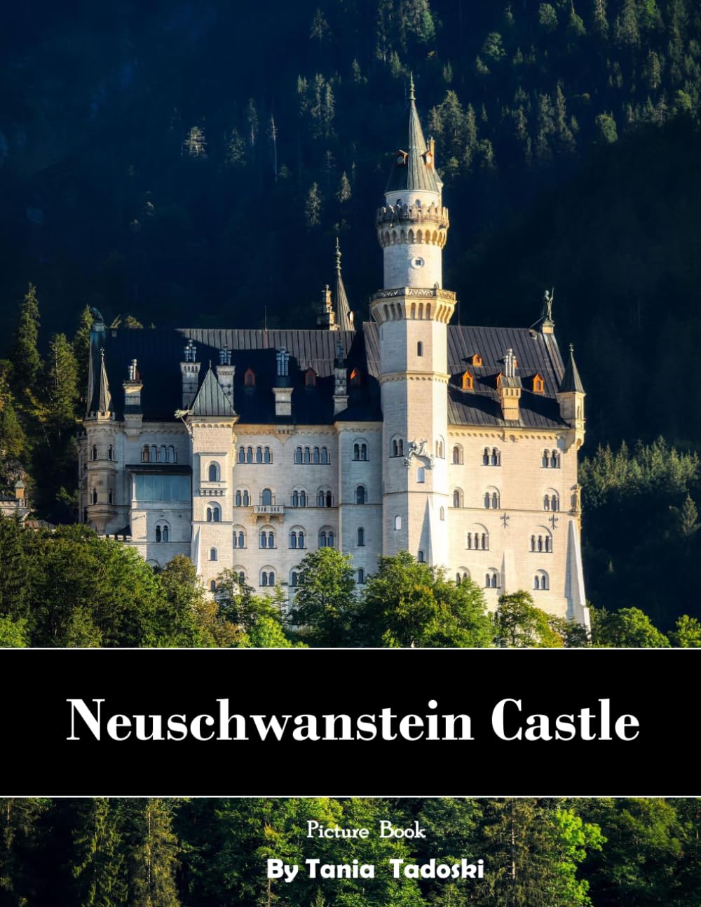 Neuschwanstein Castle: Neuschwanstein Castle: Fairytale Fortress, Alps, King Ludwig, Bavaria and More