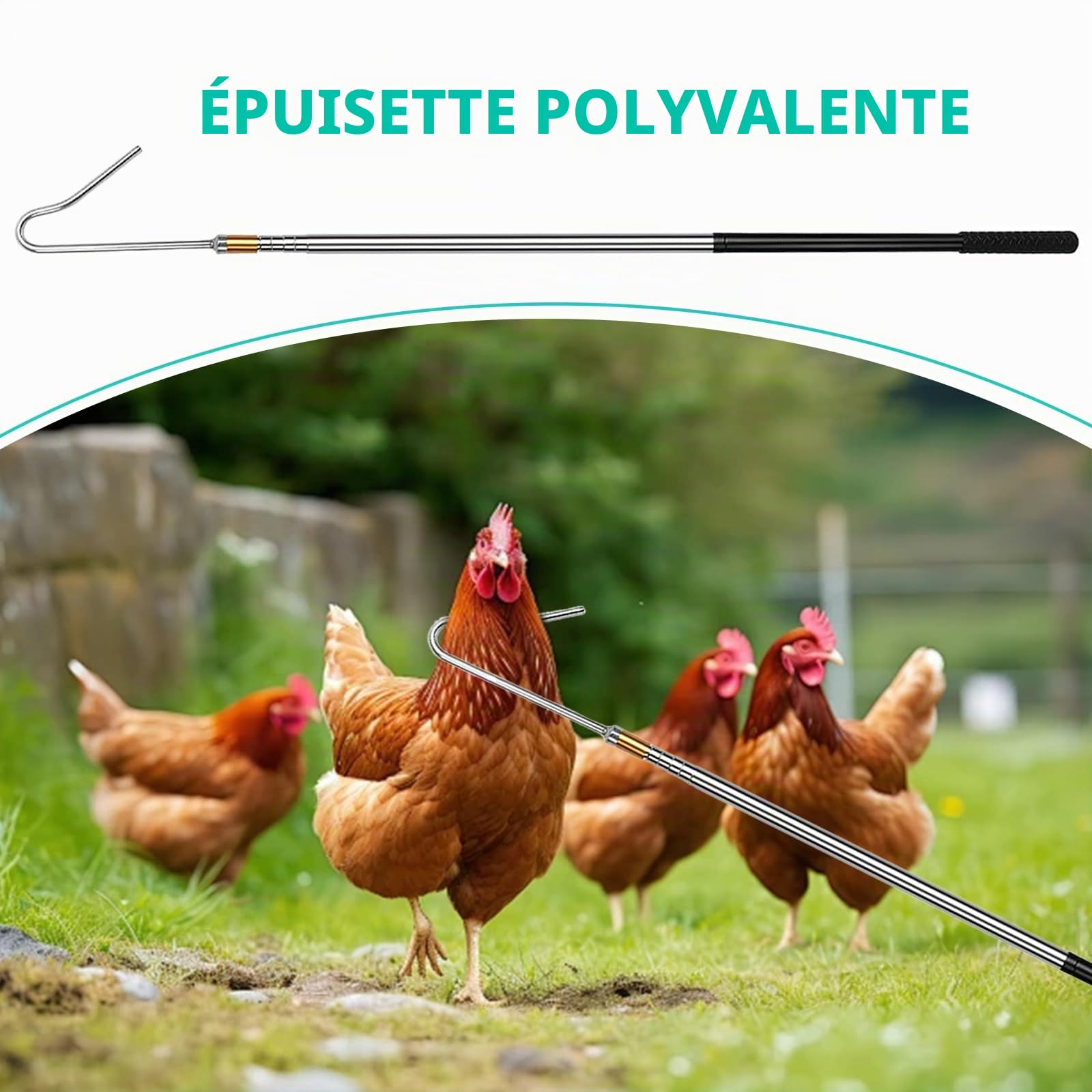 Filet de Pêche Rétractables pour Volailles Attrape-Poulet Rétractable Kit 2 en 1 avec Crochets et Filêt de Pêche pour Volailles Kit de Filet de Peche évolutif pour Volaille Oiseaux Poissons