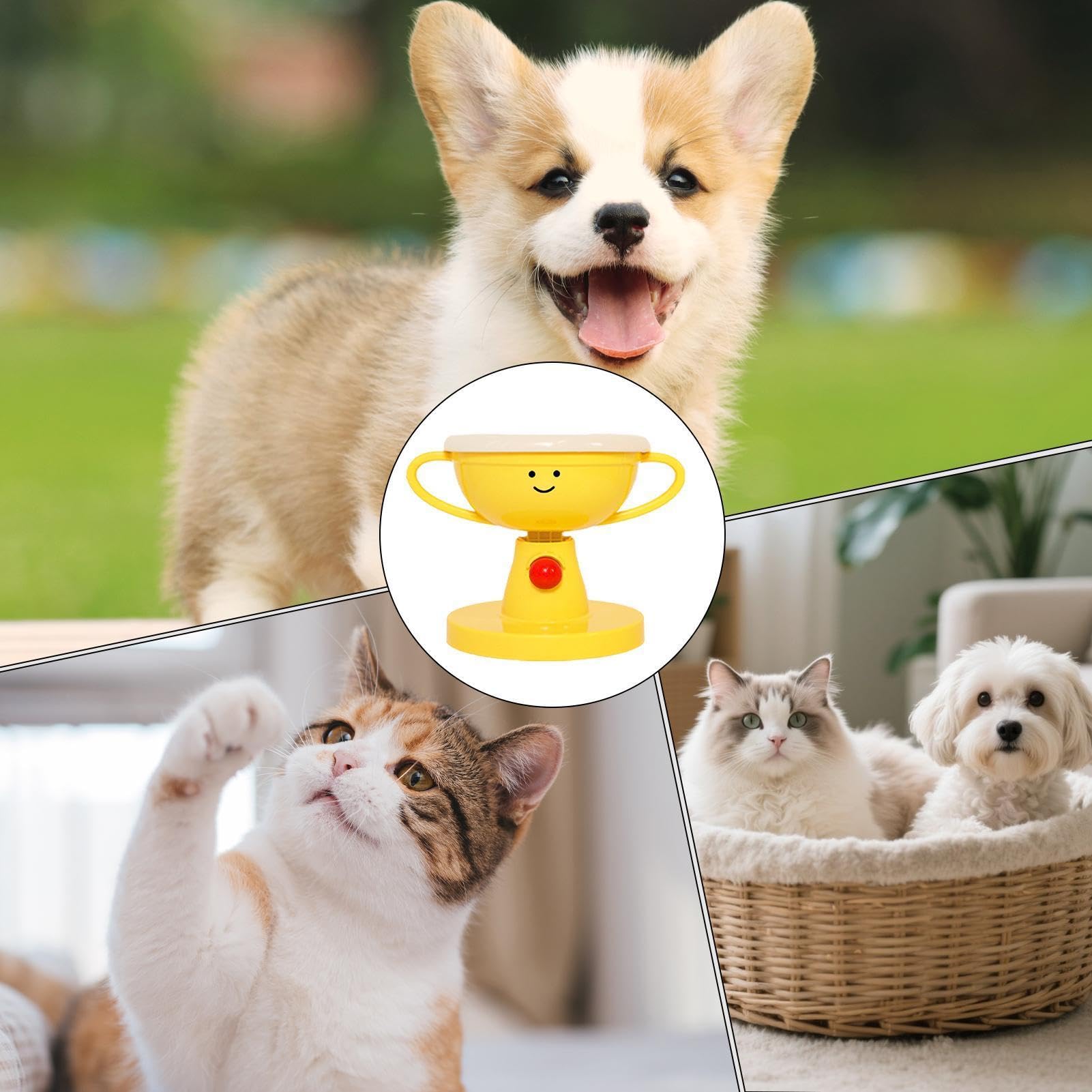 Mangeoire réglable pour chat - Gamelles surélevées avec 5 niveaux - Gamelle ergonomique pour chatons - Support antidérapant - Portable - Pour voyage, intérieur, extérieur, maison, cour,