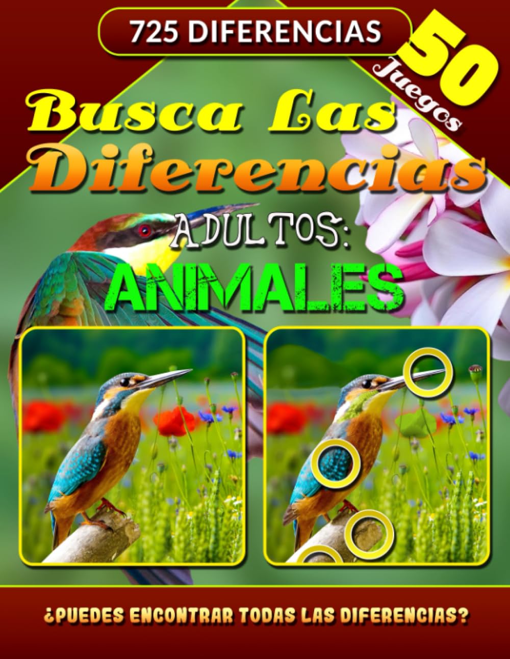 Busca Las Diferencias Adultos: Libros de Juegos de Encontrar Diferencias. Encuentra las Diferencias. ¿Puede Encontrar las Rarezas Camufladas?