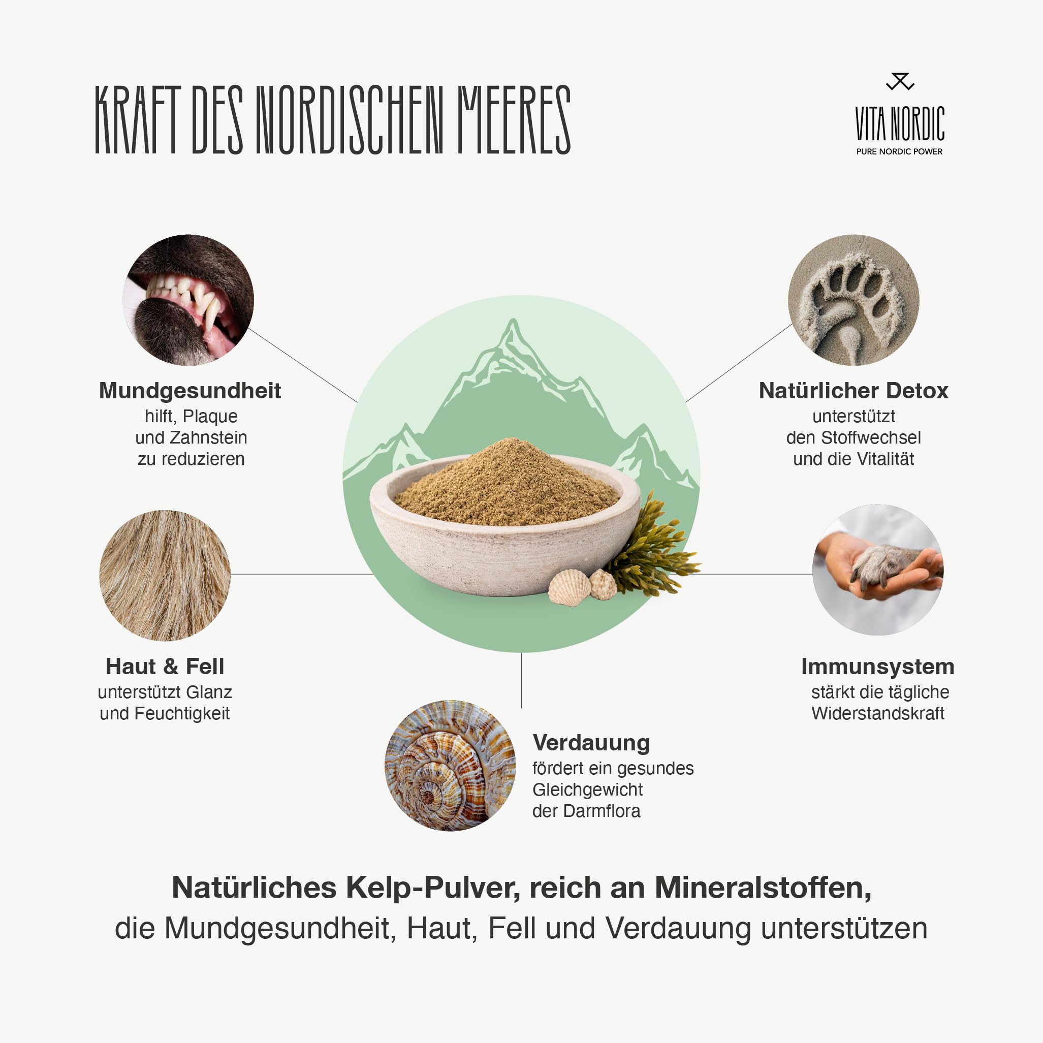 VITA Nordic Kelp Powder dla psów – 100% naturalne algi morskie (Ascophyllum Nodosum) przeciwko kamieniu nazębnemu i płytce nazębnej – wspomaga pielęgnację zębów, higienę jamy ustnej, skórę i sierść