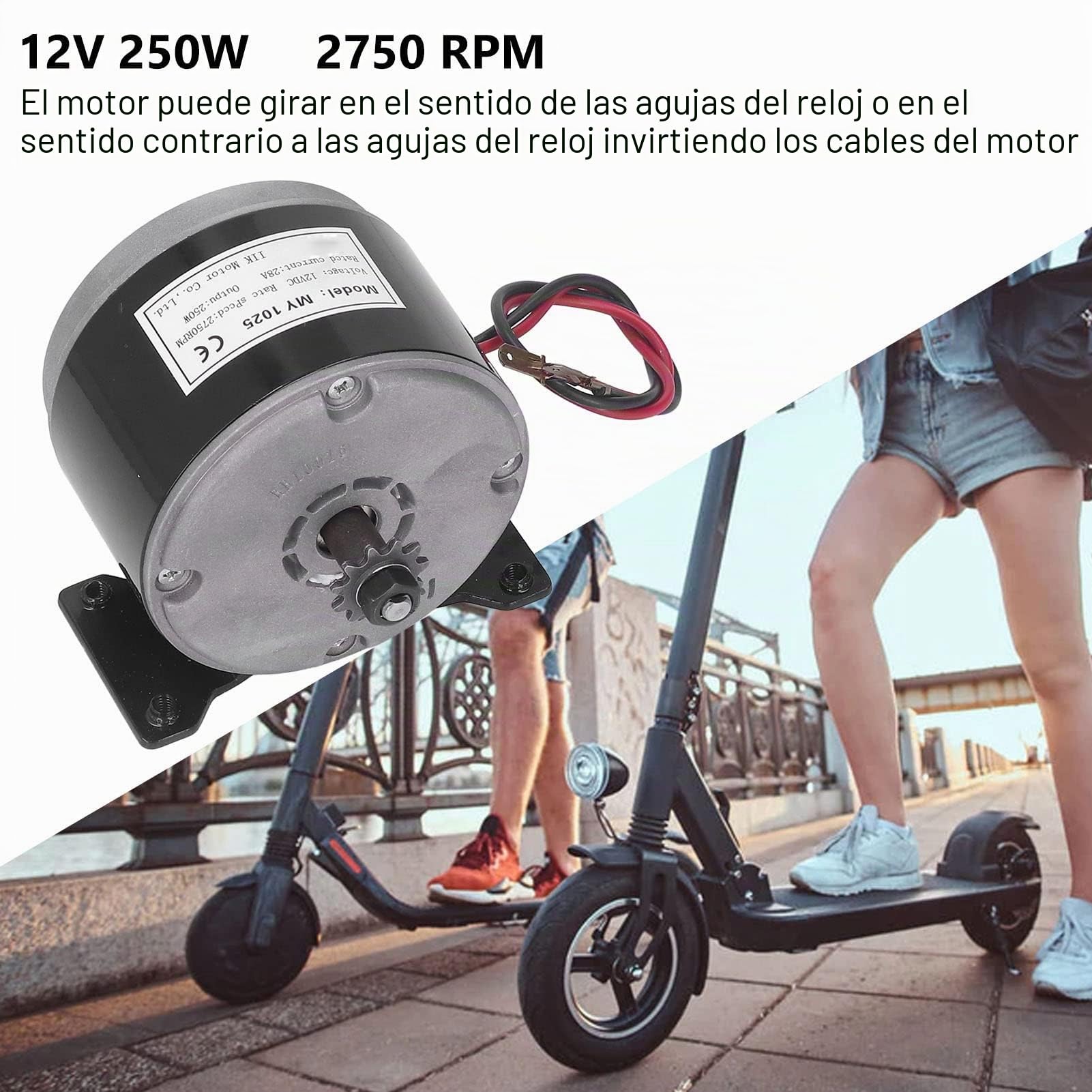 BuyWeek Motor Eléctrico de Reducción de Engranajes Reductor de Motores CC Cepillado, MY1025 12V 250W 28A 2750rpm de Aluminio para Scooter Eléctrico