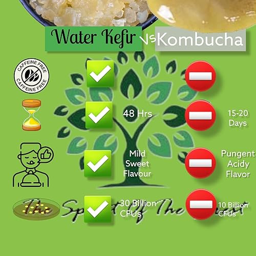 Miniatura 3 de Polvo de bebida probiótica fermentada de granos de kéfir de agua deshidratada para una salud intestinal más fuerte  El iniciador de reliquia ofrece