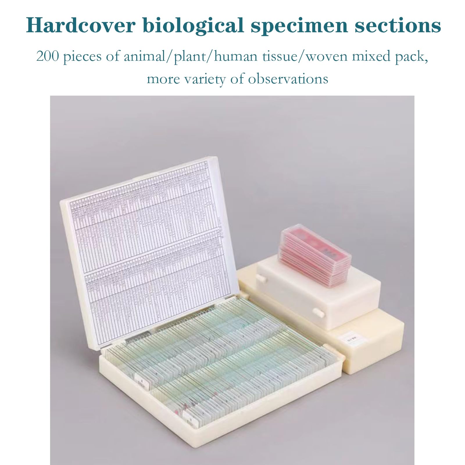 Portaobjetos De Vidrio para Microscopio, 200 Piezas De Secciones De Muestras Biológicas Mixtas De Animales/Plantas/Tejidos Humanos/Tejidas, Diseño De Esquinas Redondeadas