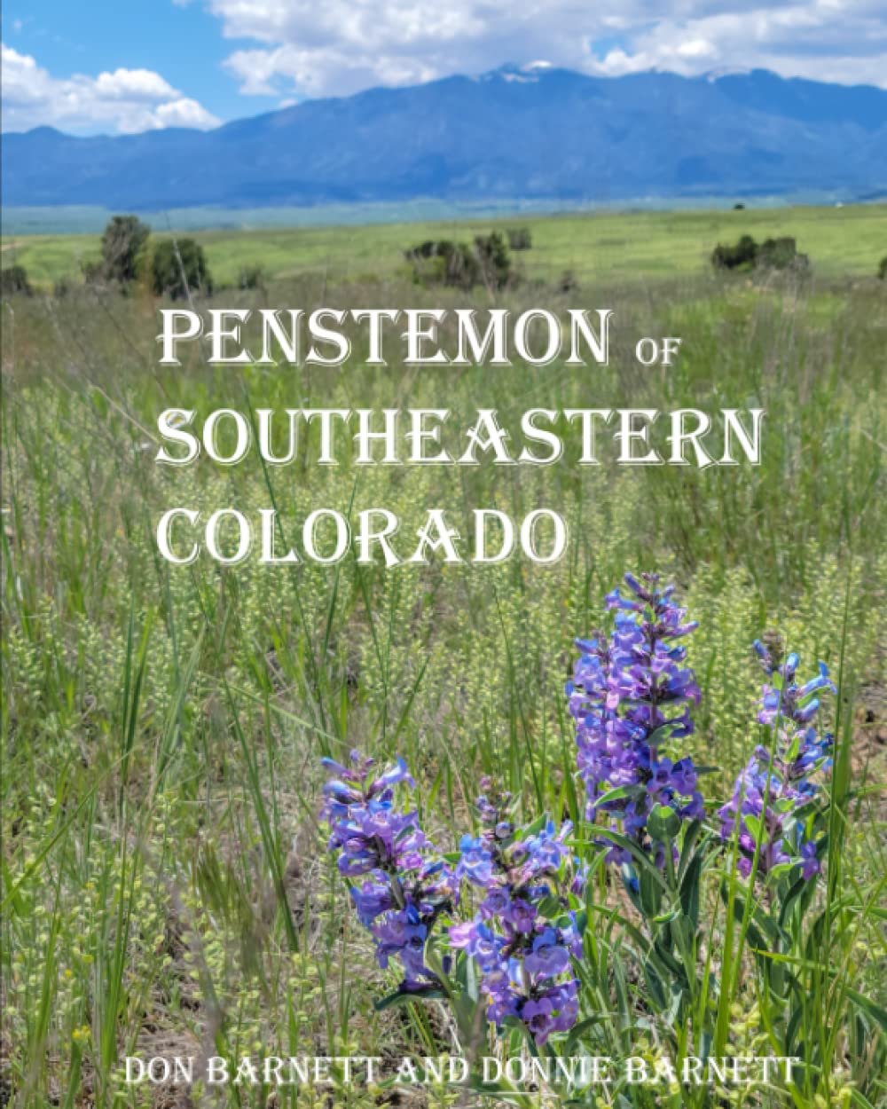 Penstemon of Southeastern Colorado