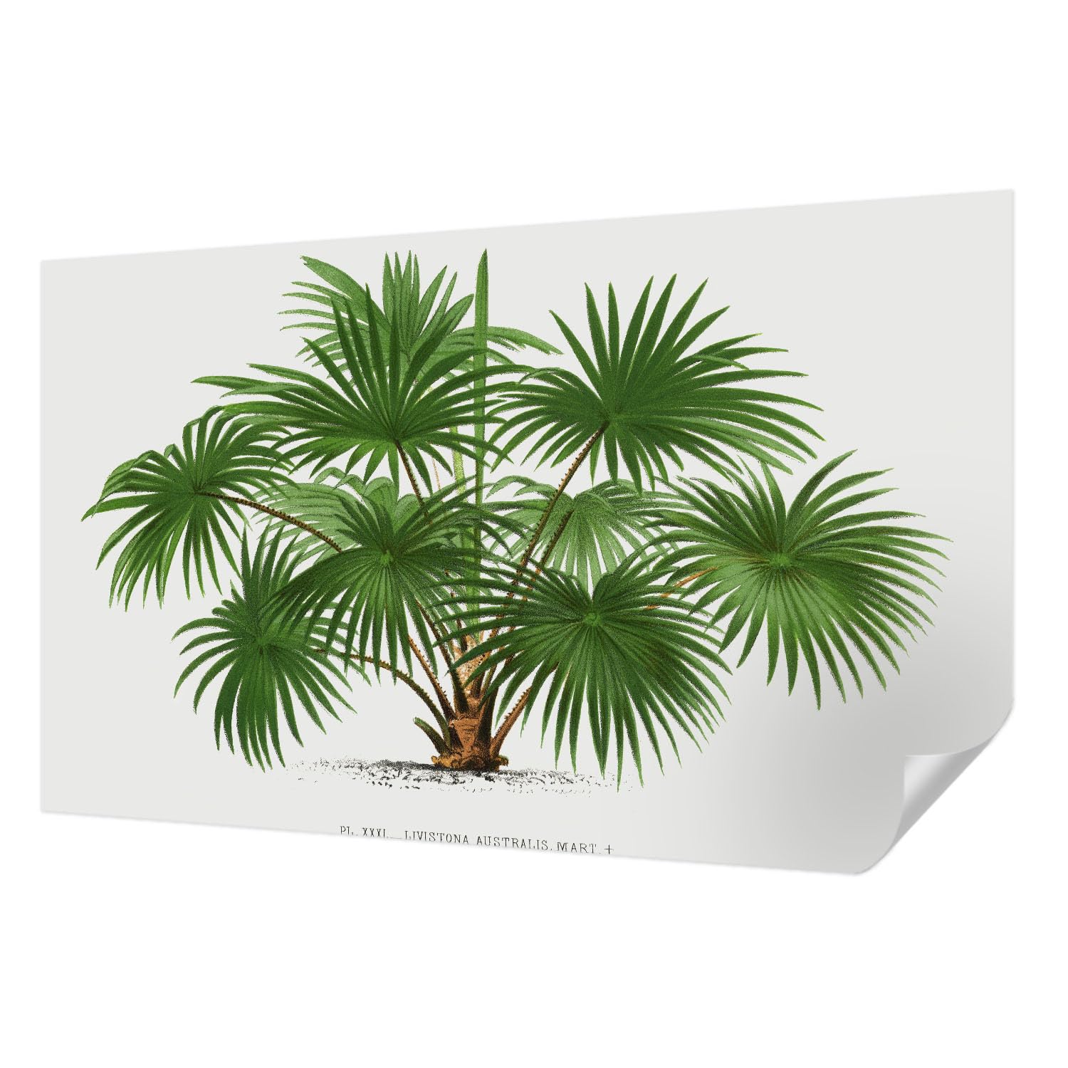 Papier peint photo autocollant 416x254 cm grand format anti-tache de salon