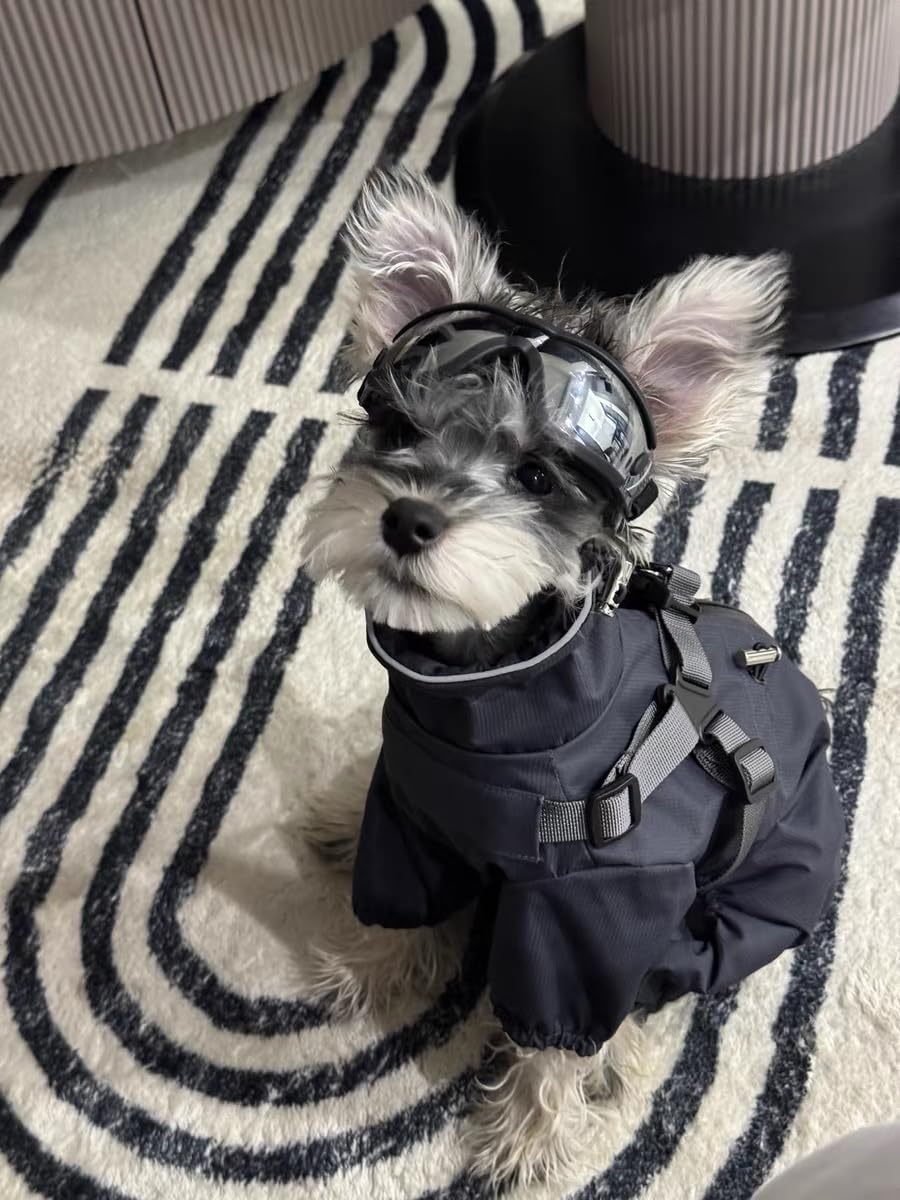 Mile High Life Waterproof Dog Raincoat, Full Coverage Small Dog Rain Coat with Harness, Adjustable 4 Legs Puppy Rain Jacket with Reflective Strip and Elastic Cuffs (Gray, XX-Small)