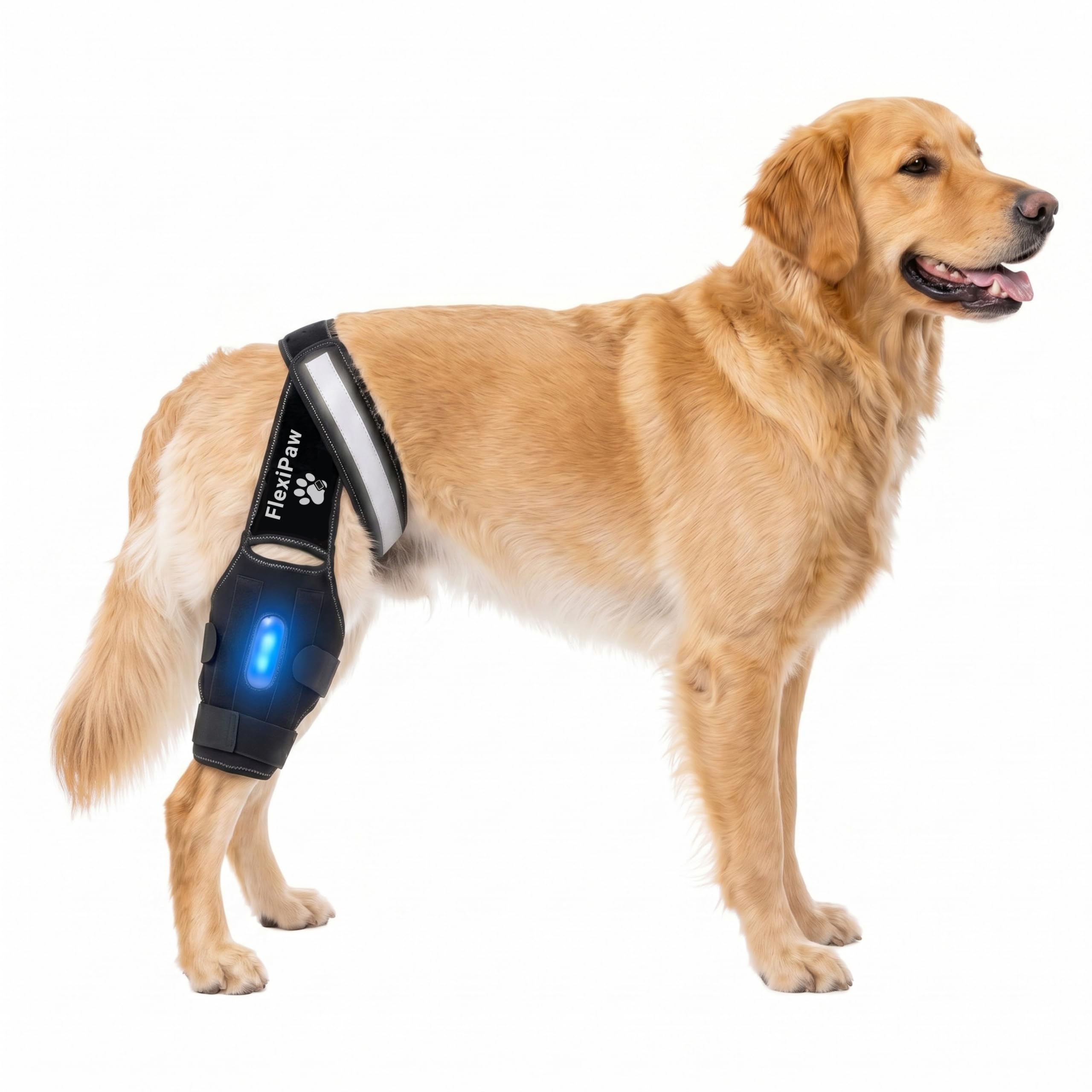 Photo 1 of FlexiPaw Dog Knee Brace for Torn ACL Hind Leg CCL, Luxating Patella & Hip Support with Cold Therapy, Stabilizer Rods, Anti-Slip Torso Strap & Reflective Trim Rear Leg Brace (Large)