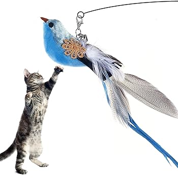 ねこじゃらし 61D+gcdqOTL._UF350,350_QL50_.jpg