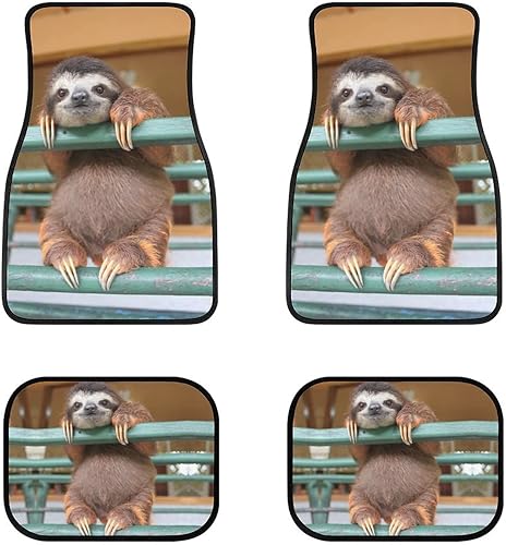 Delerain Lindos tapetes 3D perezosos para automóvil, 4 piezas, parte delantera y trasera, de goma, para todo tipo de clima, ajuste universal,