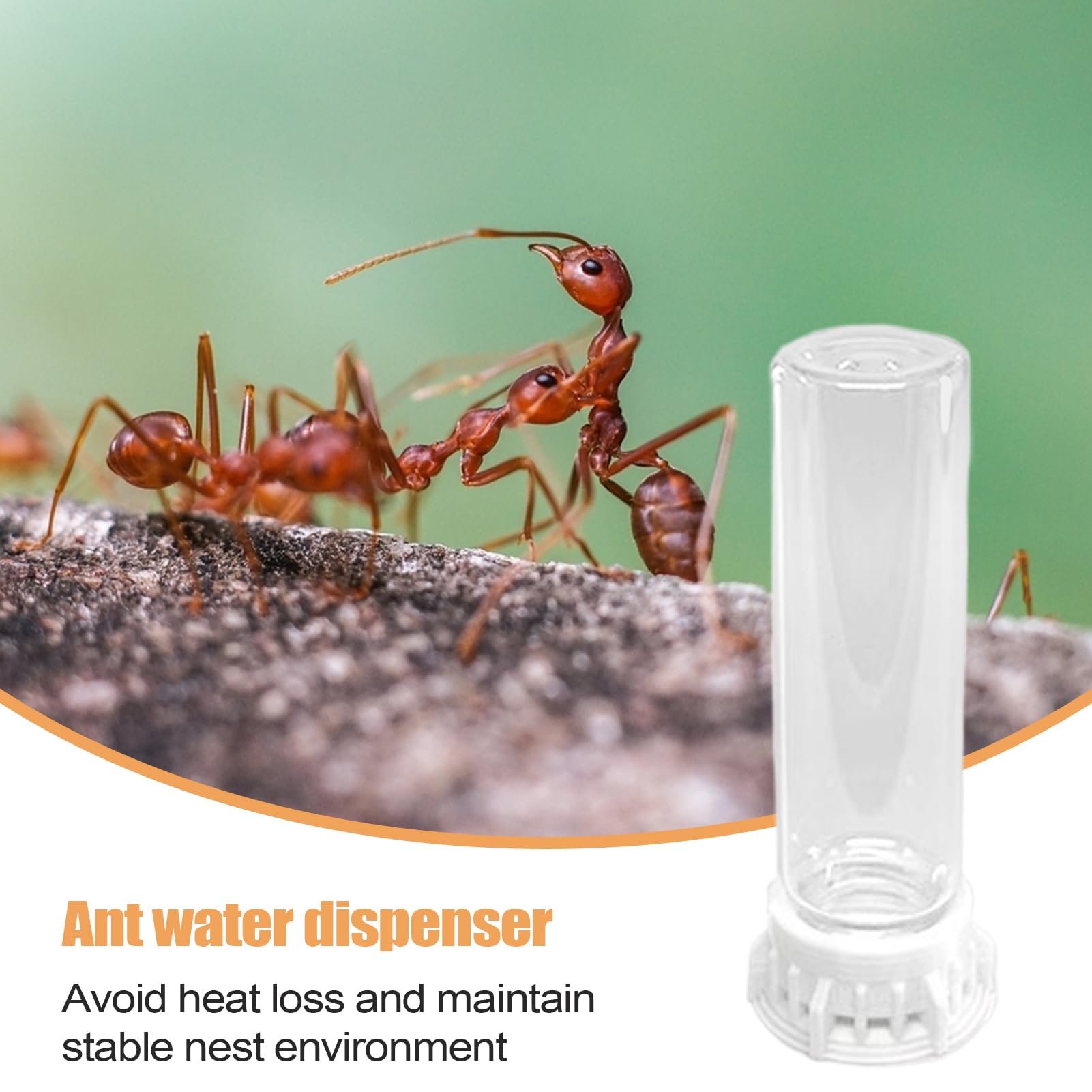 Distributeur d'eau pour Fourmis,Nourrisseur Liquide pour Petits Animaux - Accessoires Anti-Fuite pour Fourmilière Portable, Station d'alimentation Robuste pour Nid D'intérieur