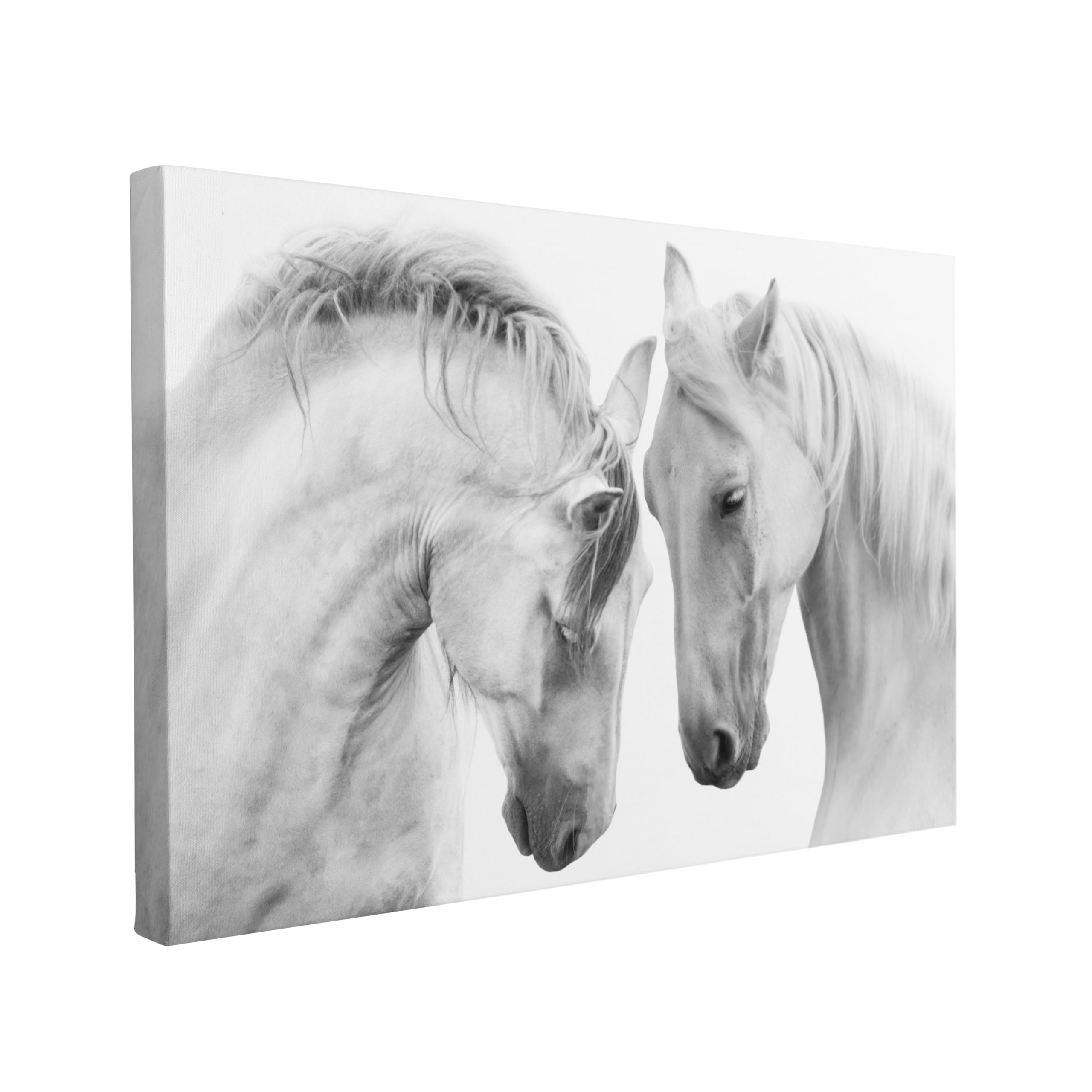 Kunstdruck auf Leinwand, Wandbilder, 50,8 x 76,2 cm, Weiß