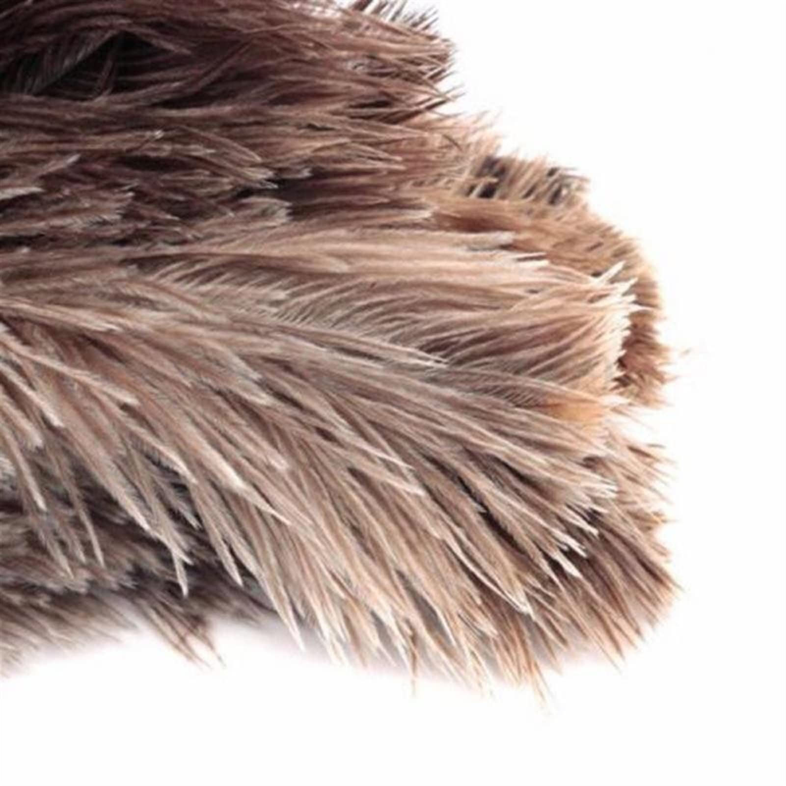 Plumero doméstico, Plumeros Suaves de Plumas Avestruz Naturales con Mango Madera, Herramientas Limpieza for el hogar, Accesorios y plumeros
