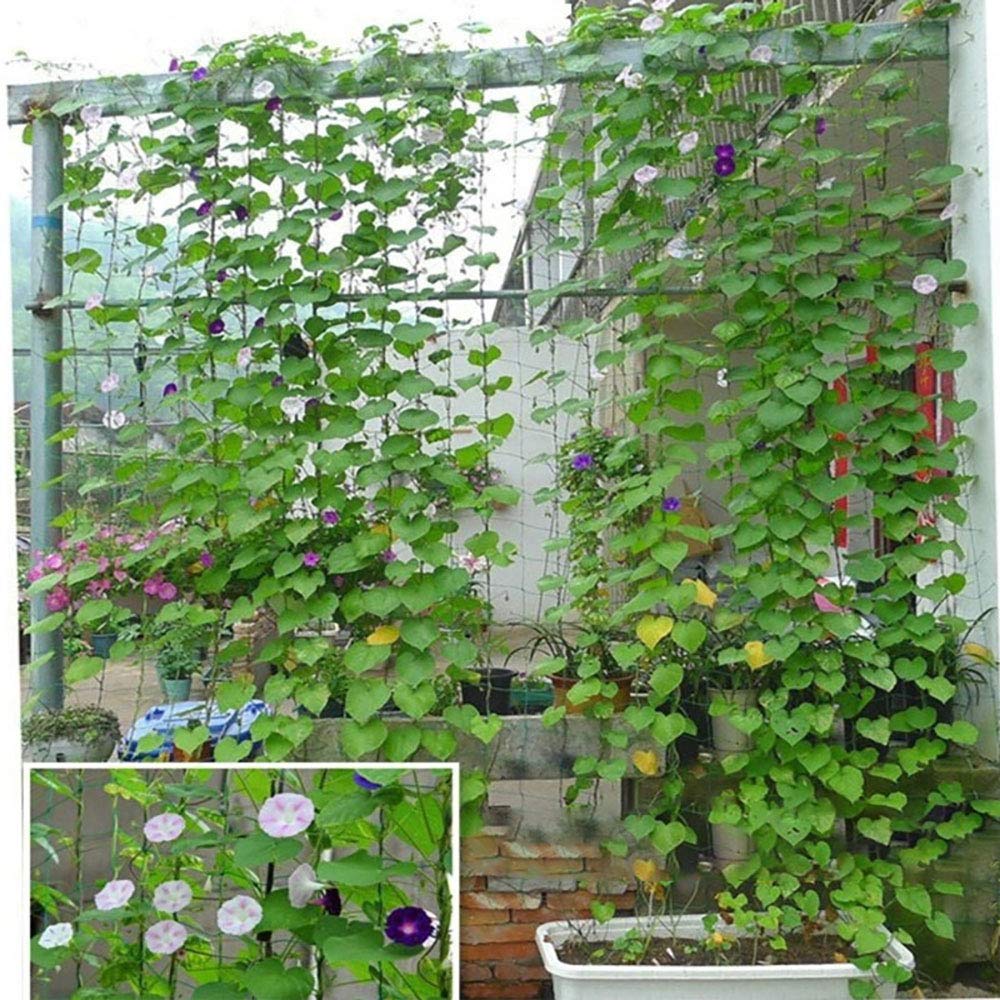 Enrejado Para Plantas Trepadoras RANKI 12 Metros – Acero Galvanizado, Ideal Para Vides, Kiwis, Rosas Y Clematis