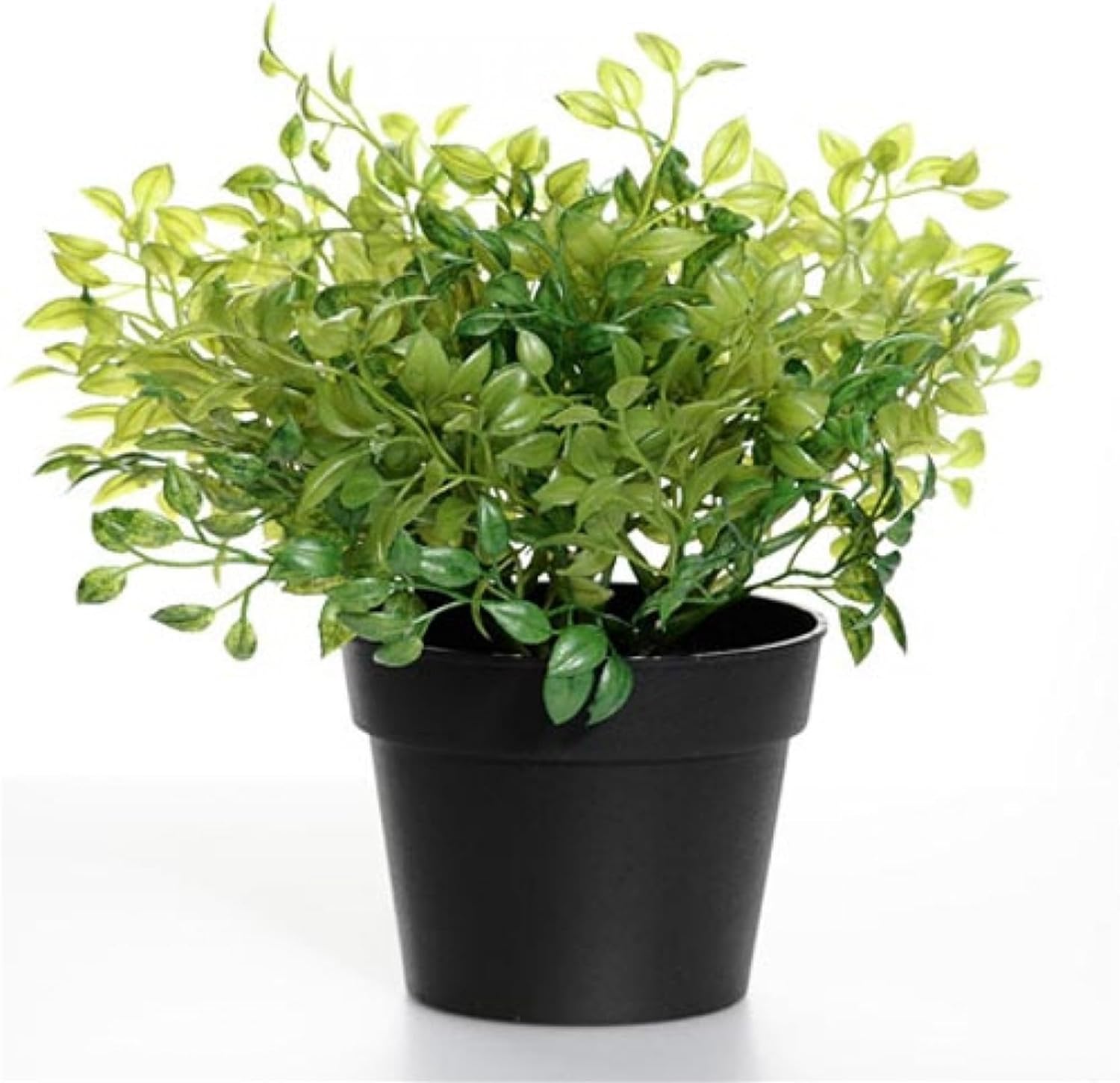 10-Pack 3 Gallon Premium Black Nursery Pot Plant Container Garden Planter Pots (3 Gallon)