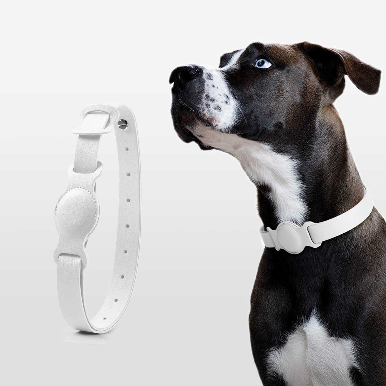 Leather Pet Collar Case for Apple Airtag, Anti-Lost Dog/Cat Strap Band Protective Cover Compatible with Apple Airtag (22-28cm, White)