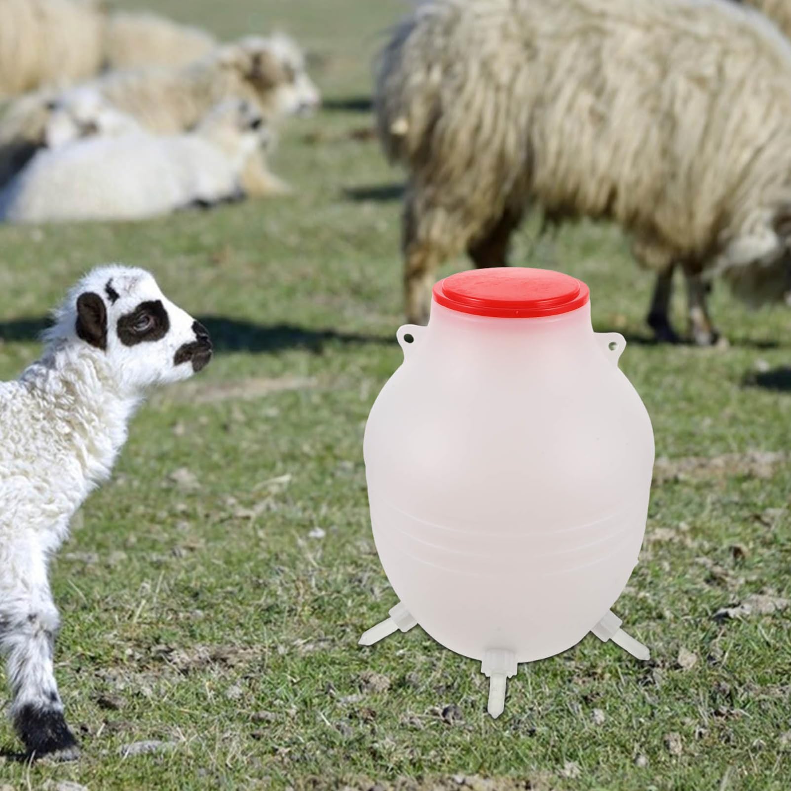 ifundom Biberon Per Agnelli e Capre Kit Alimentazione Con Tettarella Morbida Per Pecore e Fattorie Facile Da Usare e Trasportare
