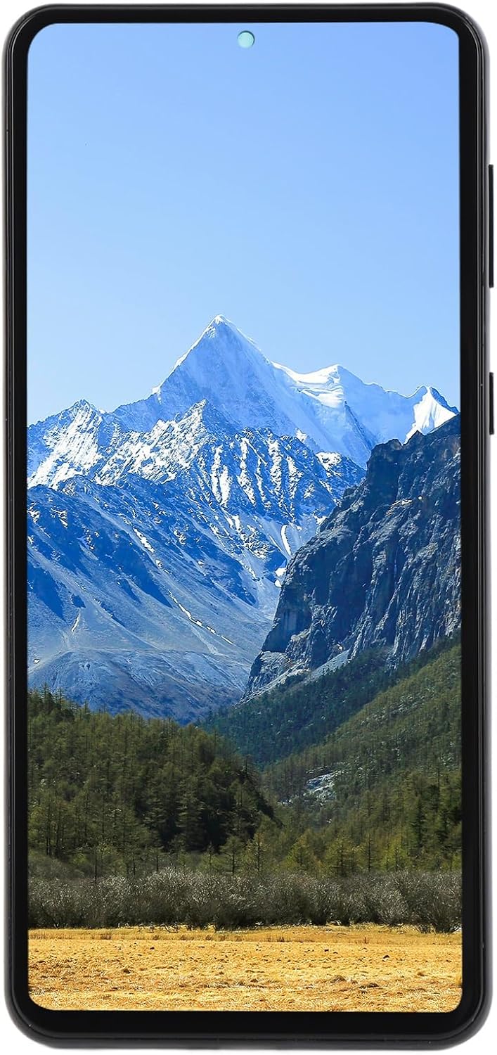 CCYLEZ 6.7in In Cell Full Screen Glass Display LCD Screen Assembly with Frame Repair Tools for S21+