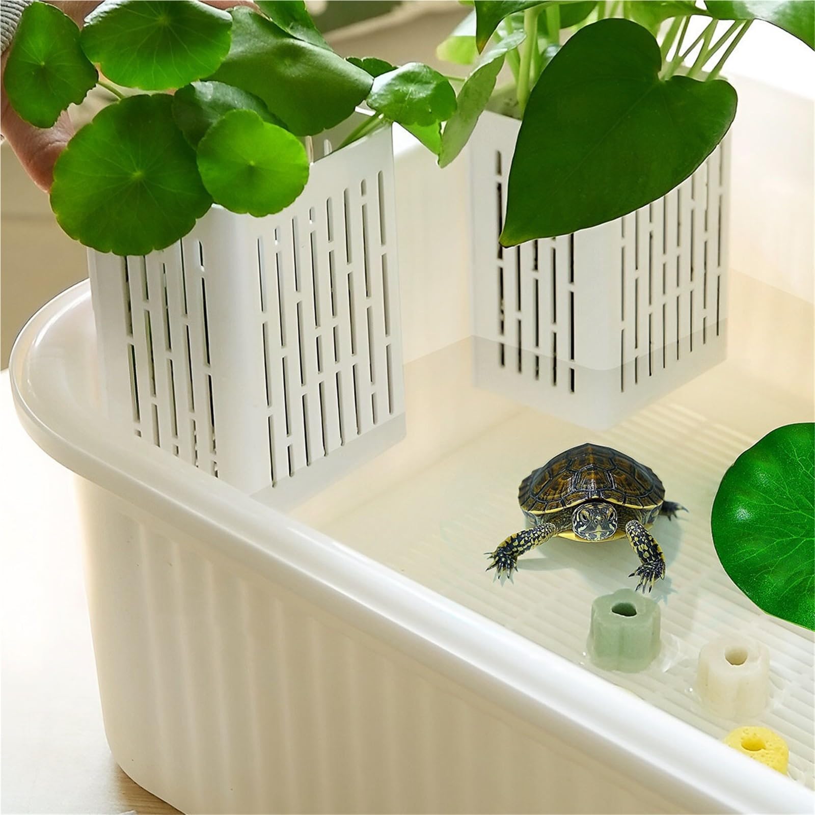 Siedlisko terrarium Zbiornik do karmienia żółwi dwuwarstwowa separacja zielona architektura krajobrazu Terrarium akwariowe(Yellow)