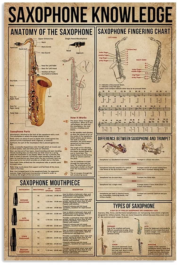 Saxophone Anatomy ubicaciondepersonas.cdmx.gob.mx