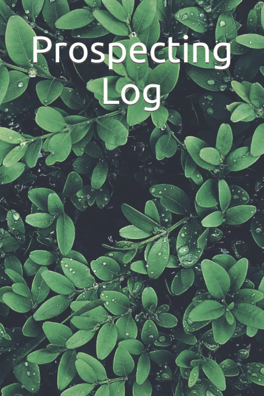 Prospecting Tracker/Log
