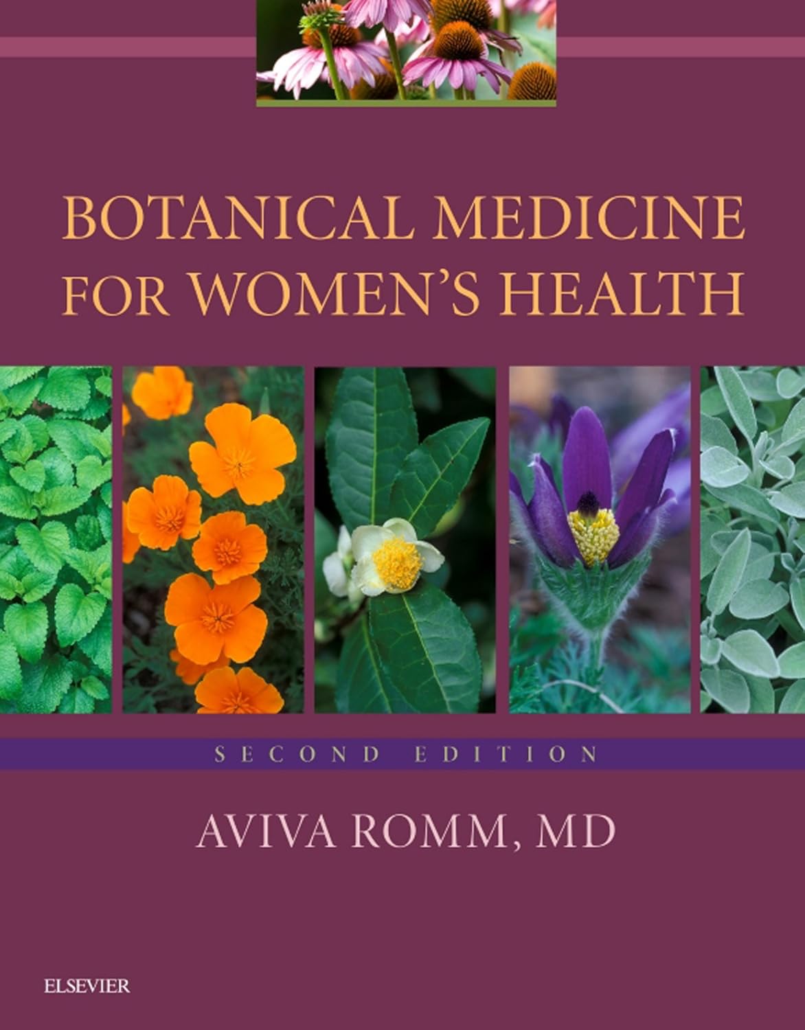 Botanical Medicine for Women's Health EBook eBook Romm