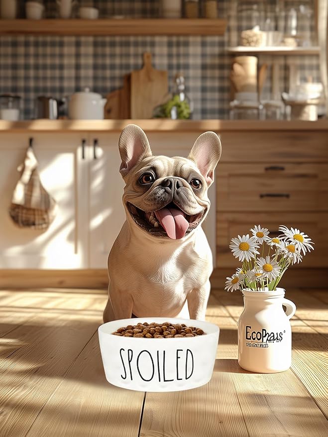 Comedero para Perro Cerámico 27 Onzas, Blanco miniatura 9