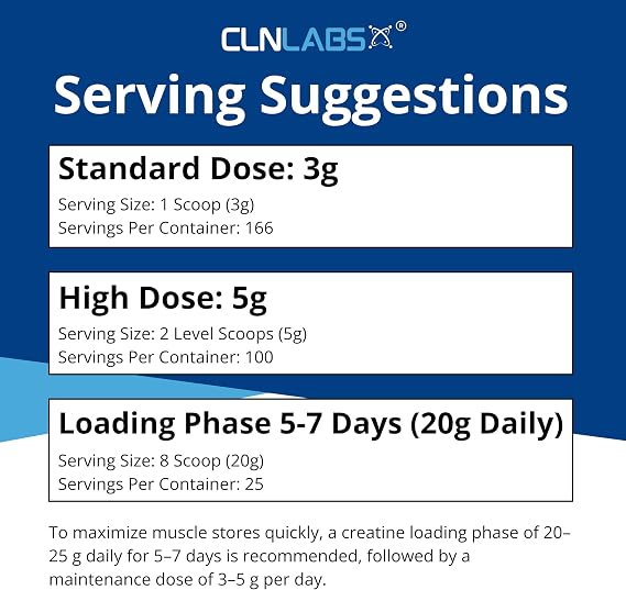 Creatine Monohydrate Powder - 300g (60 x 5g Servings) | 200 Mesh Fine Grade Powder, Pure & Mixes Easily | Includes Scoop | Unflavoured | Made in The UK By CLN Labs