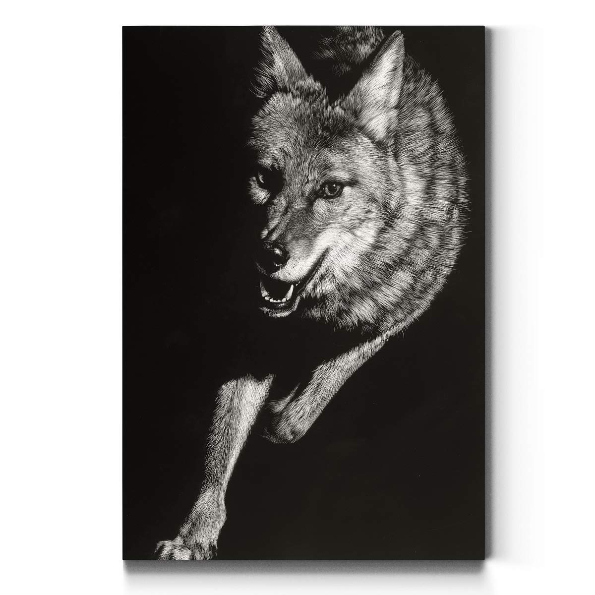 Amazon｜Renditions Gallery AZ-PortAmls04-tto-WC17-144310GG