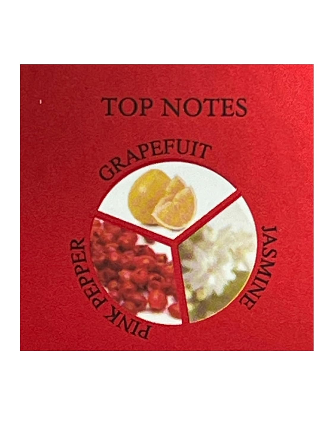 United Scents EILEEN No. 8 Dark Harmony Eau de Parfum for Women, 3.4 Fl Oz, Notes: Grapefruit, Jasmine, Pink Pepper - Image 4